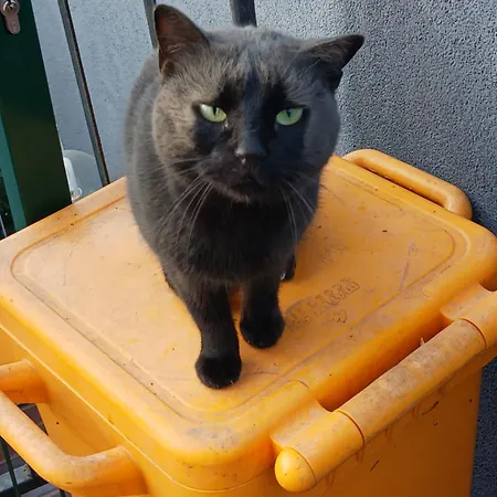 Valkane Pet Friendly 150m From The Stunning Valkane Beach, Indoor Pools-fitness And Mall *